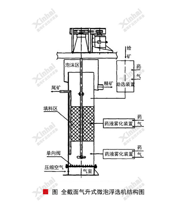 全截面气升式微泡浮选机